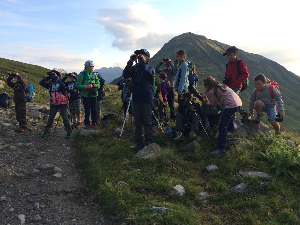 Observar Capricorns 2018