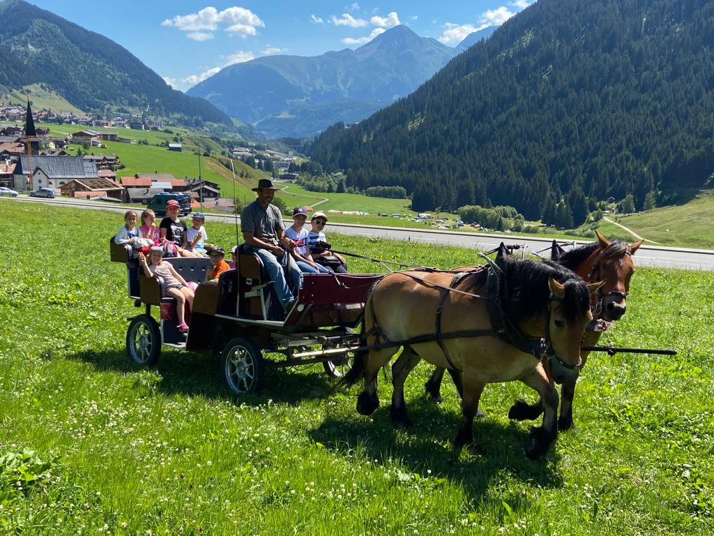 carrotschada cun picnic 2020
